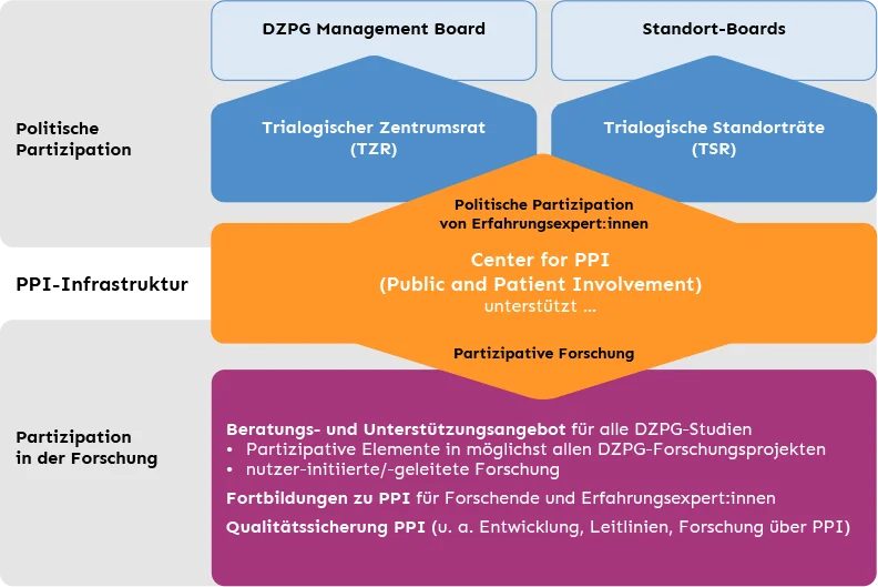 Grafik: Der Trialogische Zentrumsrat berät das DZPG Management Board, die Trialogischen Standorträte beraten die Standort-Boards (politische Partizipation). Das Center for PPI (Public and Patient Involvement) unterstützt die politische Partizipation von Erfahrungsexpert:innen und die partizipative Forschung: Beratungs- und Unterstützungsangebot für alle DZPG-Studien, Fortbildungen zu PPI für Forschende und Erfahrungsexpert:innen, Qualitätssicherung PPI.